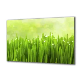 panel-szklany-rosliny-41730850-140x70