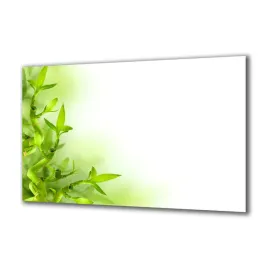 panel-szklany-rosliny-48764807-140x70