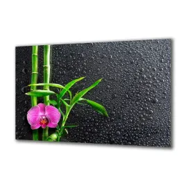 panel-szklany-rosliny-57145846-140x70