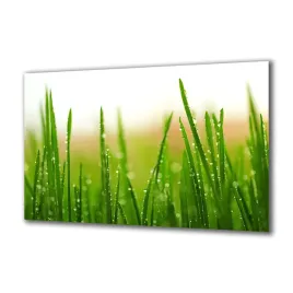 panel-szklany-rosliny-60701620-140x70