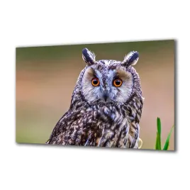 panel-szklany-zwierzeta-258363775-140x70
