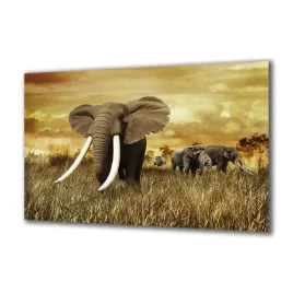 panel-szklany-zwierzeta-58462231-140x70