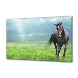 panel-szklany-zwierzeta-63054878-140x70