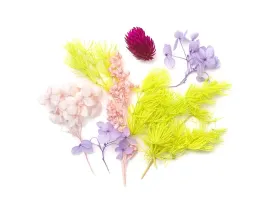 suszone-kwiaty-dekoracyjne-dpza-146-dp-craft-5903925012330