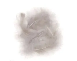 piora-indycze-15cm-5-szt-popiel-cepi-046-dp-craft