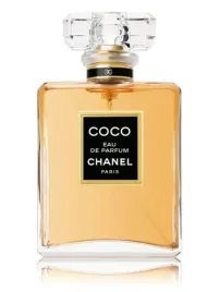 coco-chanel-100ml-edp