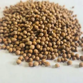 kolendra-08kg