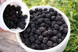 nawoz-do-owocow-premium-25-kg-stan-nowy