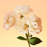 calvin-klein-eternity-women-balsam-do-ciala-dla-kobiet-200ml-stan-nowy