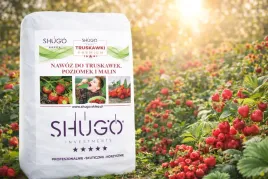 nawoz-do-truskawek-premium-10-kg