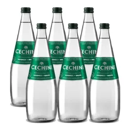 6x-woda-niskonasycona-cechini-muszyna-wysokozmineralizowana-szklana-07l