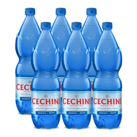 6x-woda-wysokonasycona-cechini-muszyna-wysokozmineralizowana-175l