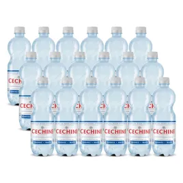18x-woda-niskonasycona-cechini-muszyna-wysokozmineralizowana-05l