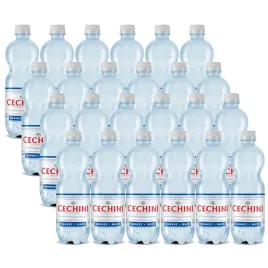 24x-woda-niskonasycona-cechini-muszyna-wysokozmineralizowana-05l