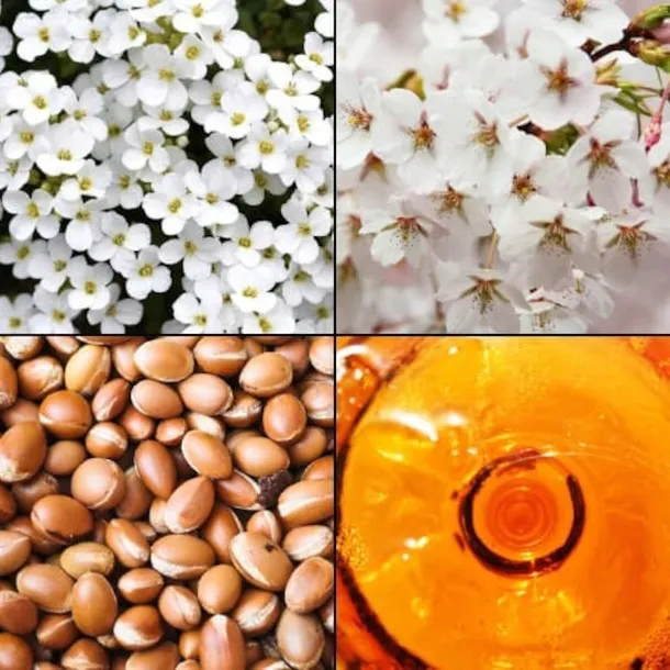 krem-do-rak-tesori-d-oriente-hammam-75-ml-marka-tesori-d-oriente