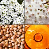 krem-do-rak-tesori-d-oriente-hammam-75-ml-marka-tesori-d-oriente