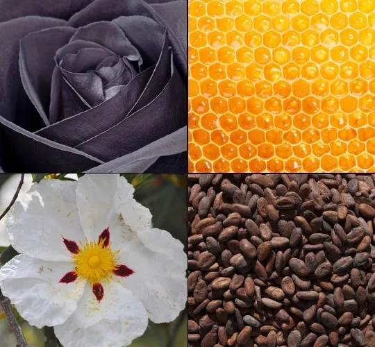 krem-do-rak-tesori-d-oriente-byzantium-75-ml