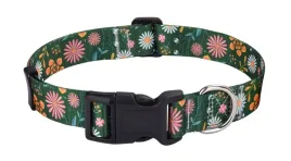 obroza-psa-wzor-miekka-regulowana-do-spacerow-i-treningu