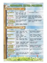 pisownia-wyrazow-z-rz-i-z-plansza