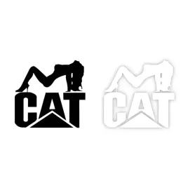 naklejka-cat-na-samochod-na-auto-kolor