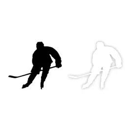 naklejka-hockey-na-samochod-na-auto-kolor