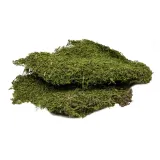 bioflat-moss-mech-platy-50g-stan-nowy