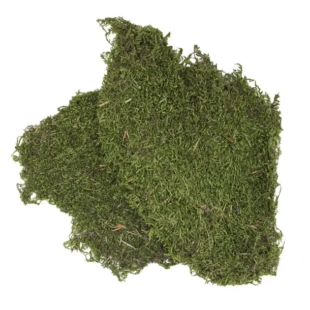 bioflat-moss-mech-platy-50g-marka-bioterr