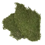 bioflat-moss-mech-platy-50g-marka-bioterr
