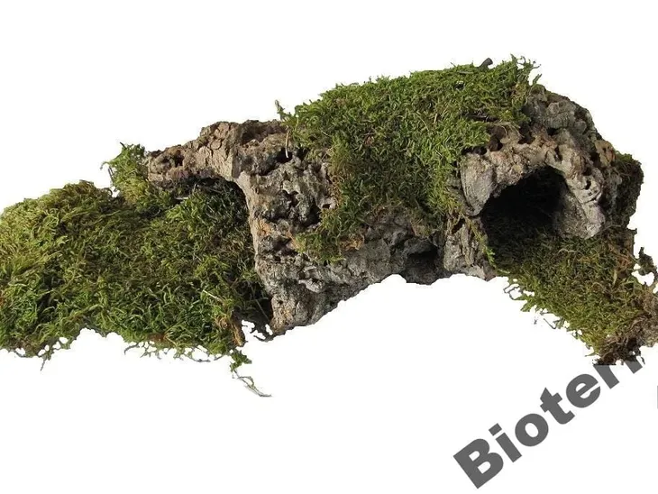 bioflat-moss-mech-platy-50g-stan-nowy-marka-bioterr