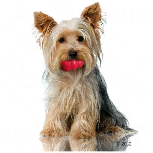 kong-classic-czerwony-xx-large-marka-kong-stan-nowy
