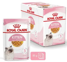 royal-canin-fhn-kitten-w-galaretce-12x85g