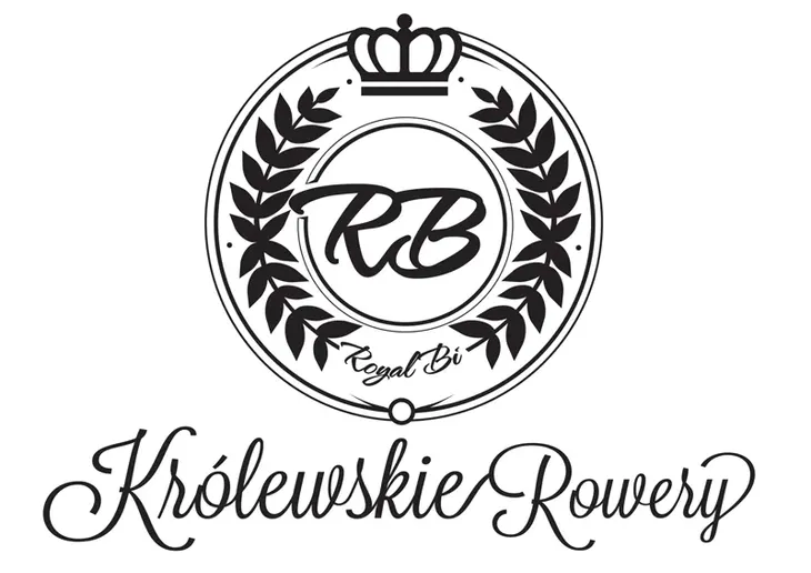 rower-miejski-meski-26-pacific-springer-royalbi-holenderski-retro-biegi-rodzaj-przerzutki-wewnetrzna-w-piascie
