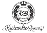 rower-miejski-meski-26-pacific-springer-royalbi-holenderski-retro-biegi-rodzaj-przerzutki-wewnetrzna-w-piascie