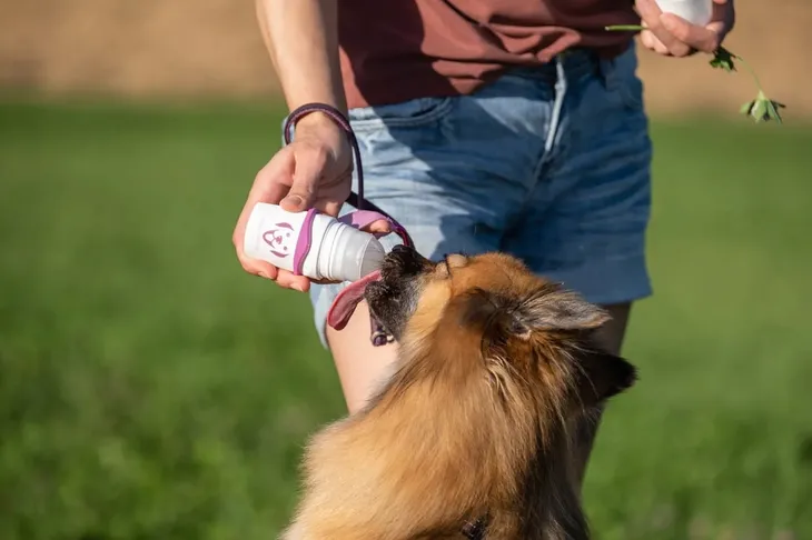 doggy-roller-cechy-dodatkowe-mozliwosc-mycia-w-zmywarce-atest-do-przechowywania-zywnosci-stan-nowy