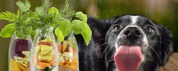 smoothiedog-z-jagnieciny-cechy-dodatkowe-ekologiczne-bezzbozowe-rodzaj-inny