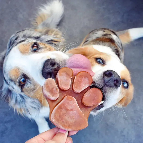smoothiedog-z-jagnieciny-rodzaj-inny