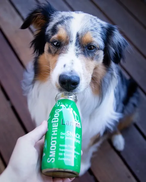 smoothiedog-z-jagnieciny-cechy-dodatkowe-ekologiczne-bezzbozowe