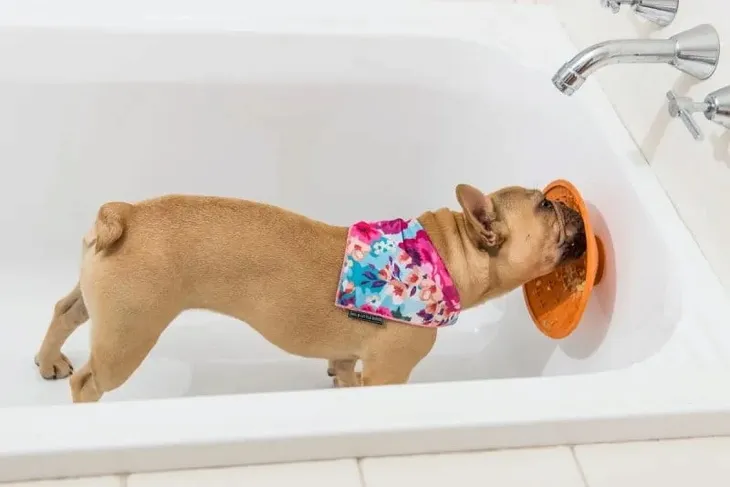 lickimatr-splashtm-kolor-odcienie-pomaranczowego-stan-nowy