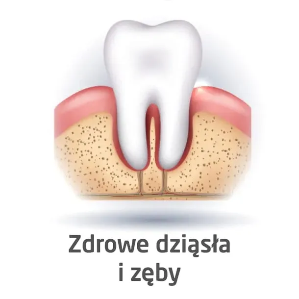 zestaw-cleanyteeth-rose-gold-stan-nowy-zasilanie-akumulatorowe