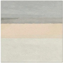 serwetki-airlaid-maziaje-bezowy-paw-40-cm-50-szt