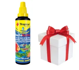 tropical-bacto-active-30ml-probka-karmy-dla-rybek-tropical