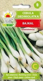 nasiona-cebula-siedmiolatka-bajkal-3g