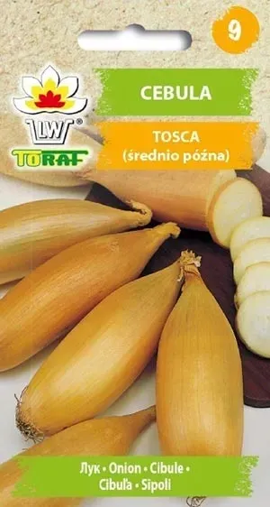 nasiona-cebula-tosca-2g