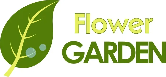 nasiona-cukinia-goldena-3g