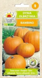 nasiona-dynia-bambino-5g
