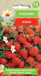 nasiona-poziomka-rugia-03g