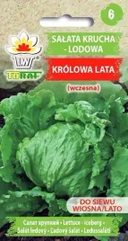 nasiona-salata-krucha-lodowa-krolowa-lata-1g