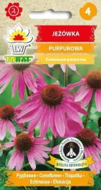nasiona-jezowka-purpurowa-1g