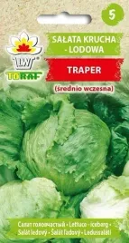 nasiona-salata-krucha-lodowa-traper-1g