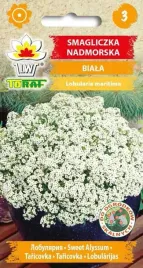 nasiona-smagliczka-nadmorska-biala-05g